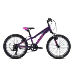 FUJI VTT Dynamite 20 Pouces Enfant Rose